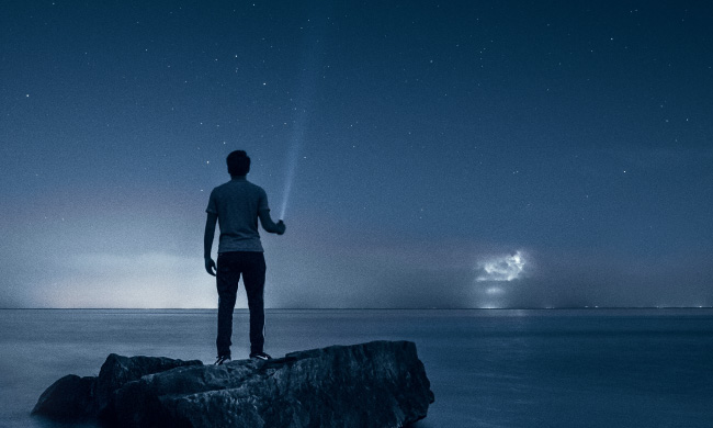 the logo of CharityCoders that shows a tree which is divided in a left green and brown coloured side and the right side only in black